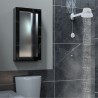 Ducha Master Banho Zagonel 6700w 220v