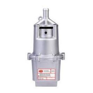 Bomba Submersa Sapeca 220V Rayma