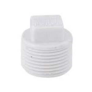 Plug Roscavel 1