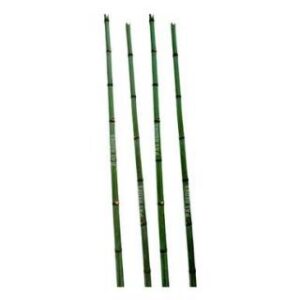 Escora de Bambu 3m